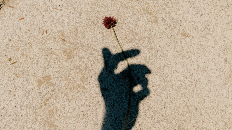 Shadow of hand effect holding flower
