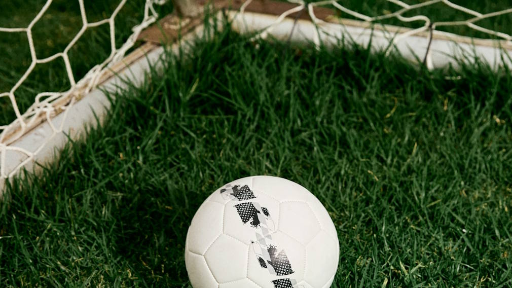 Soccer ball and goal